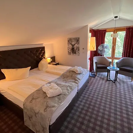 Otel Augustusberg Bad Gottleuba